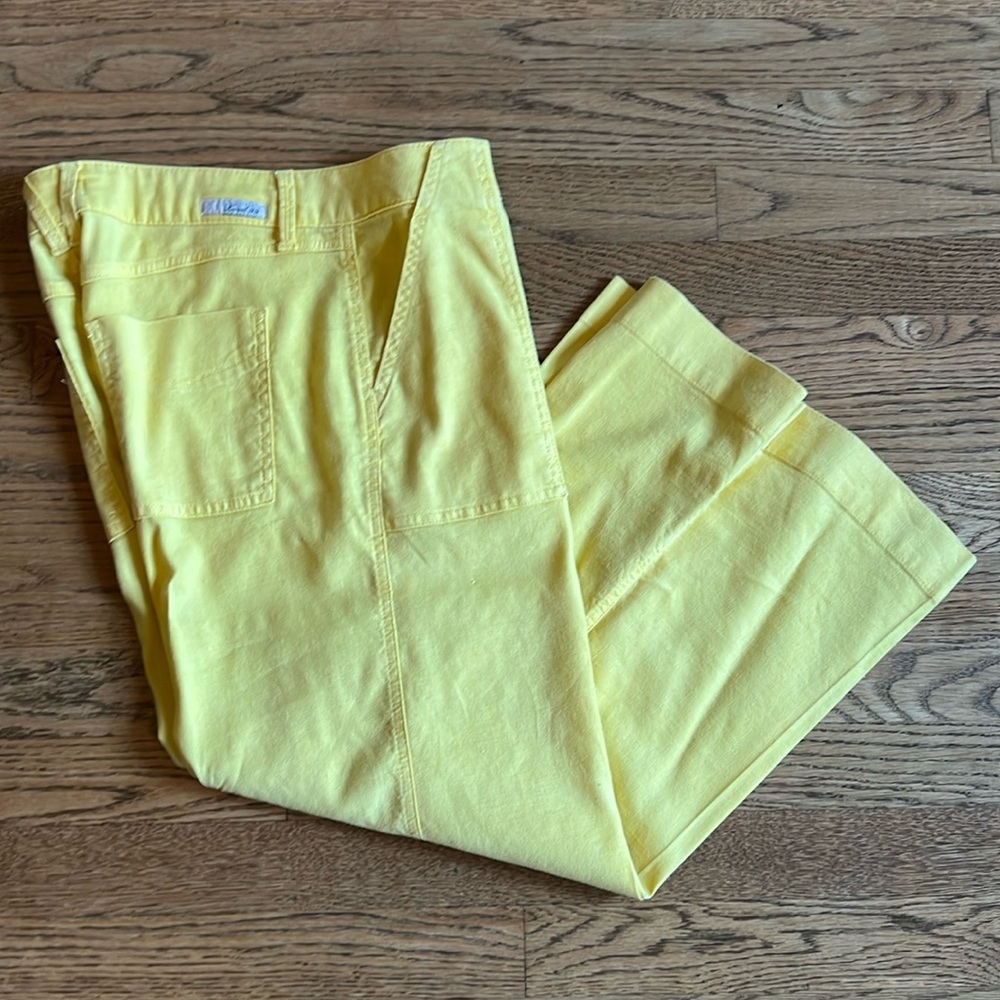 Level 99 cropped wide leg pants from Anthropologie